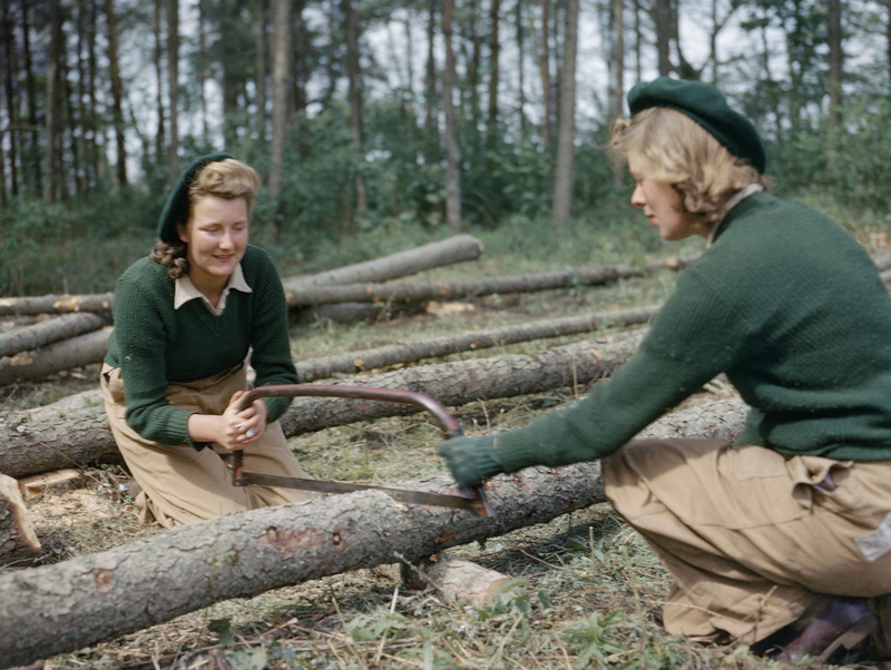 Land Army women sawing larch poles for use as pit props at the Women’s Timber Corps training camp at Culford, Suffolk, 1943. (Image: IWM)